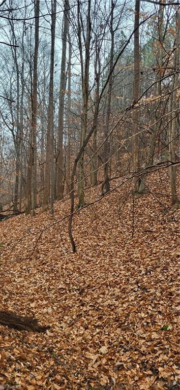 347 Wray Road Stoneville, NC 27048 - Photo 36 of 43