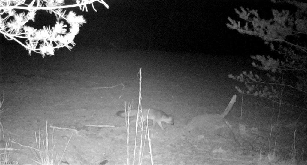 347 Wray Road Stoneville, NC 27048 - Photo 41 of 43