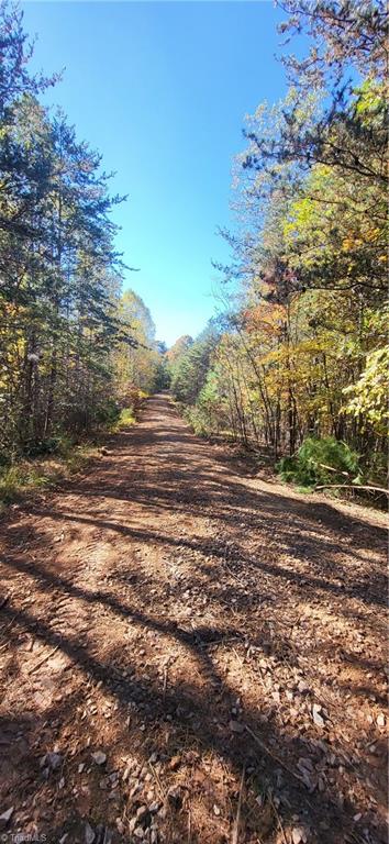 347 Wray Road Stoneville, NC 27048 - Photo 5 of 43