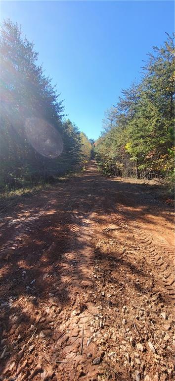 347 Wray Road Stoneville, NC 27048 - Photo 6 of 43