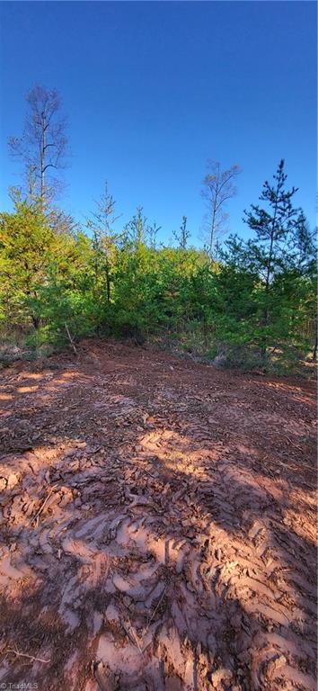 347 Wray Road Stoneville, NC 27048 - Photo 7 of 43