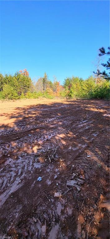 347 Wray Road Stoneville, NC 27048 - Photo 8 of 43