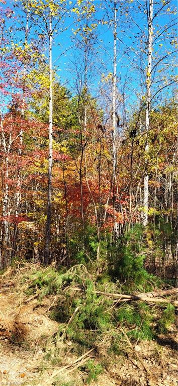 347 Wray Road Stoneville, NC 27048 - Photo 10 of 43