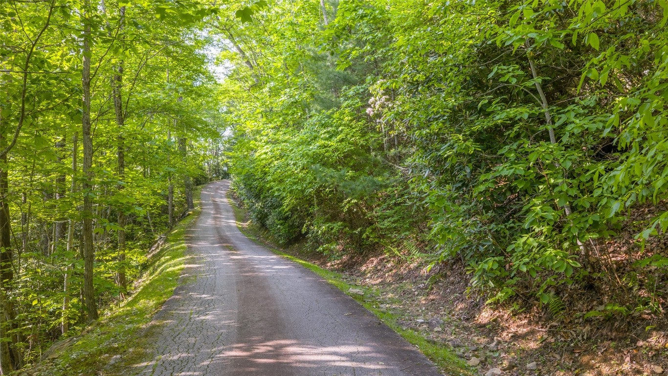 Lt Forest Ridge Road Cashiers, NC 28717 - Photo 2 of 18 Gallery Image 2
