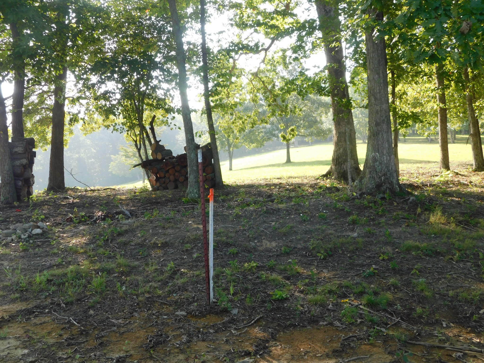 367 Keytown Road Portland, TN 37148 - Photo 16 of 59 Gallery Image 16