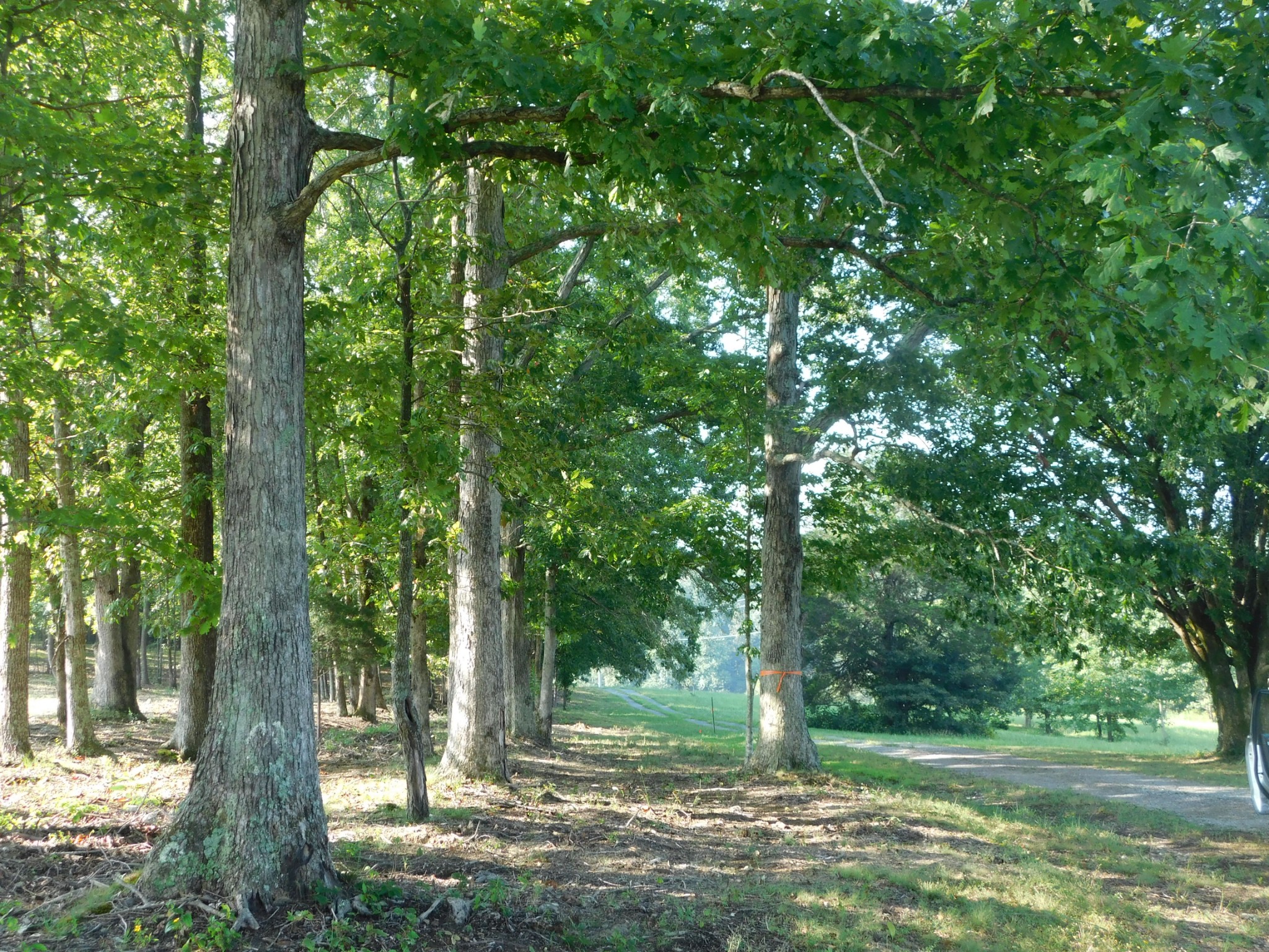367 Keytown Road Portland, TN 37148 - Photo 19 of 59 Gallery Image 19