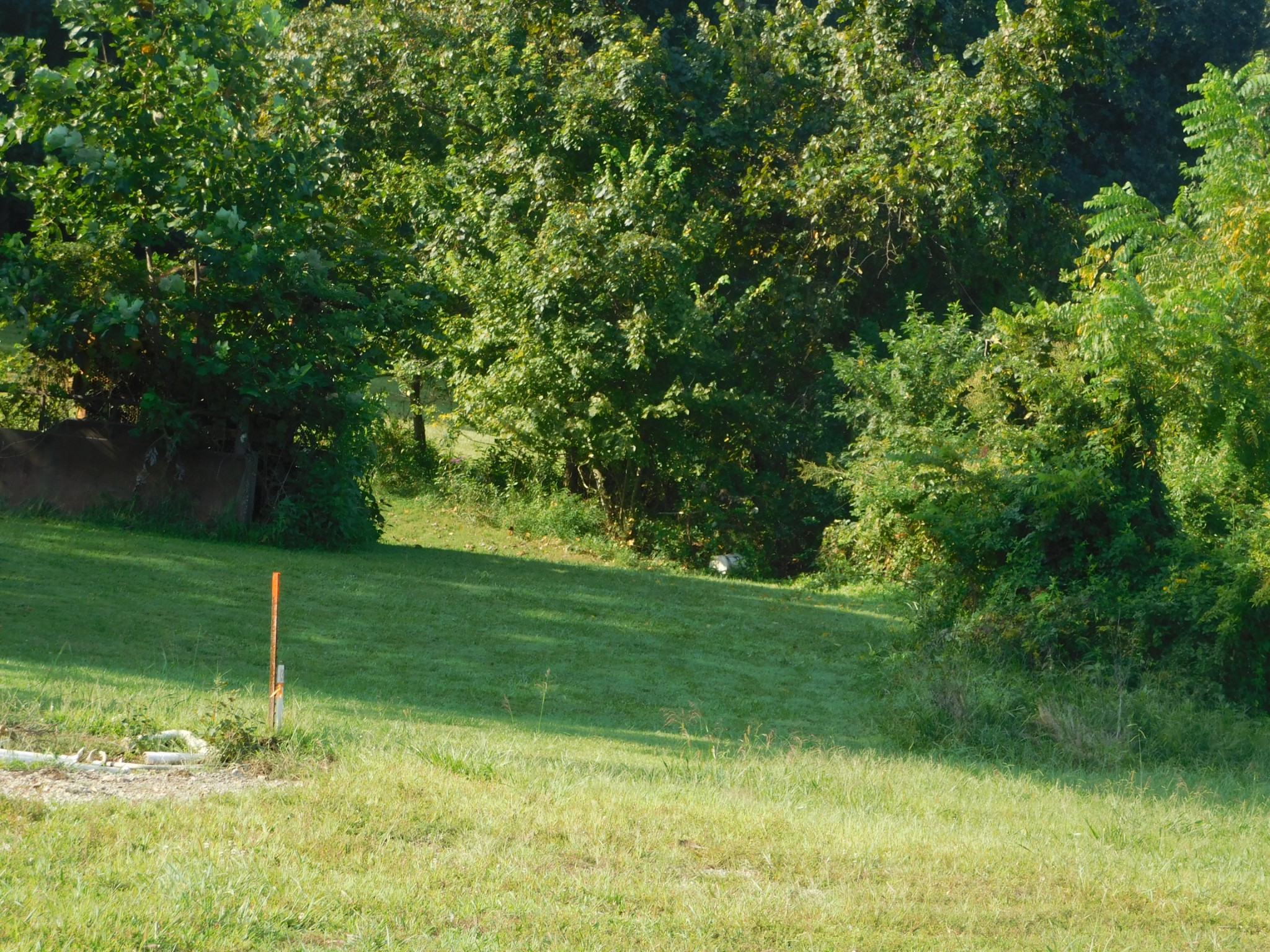 367 Keytown Road Portland, TN 37148 - Photo 20 of 59 Gallery Image 20