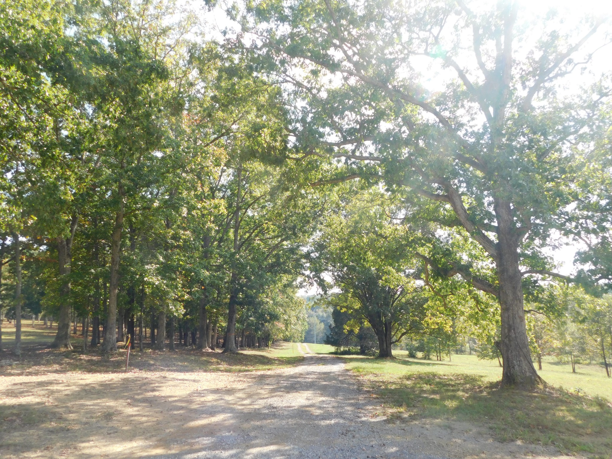 367 Keytown Road Portland, TN 37148 - Photo 21 of 59 Gallery Image 21
