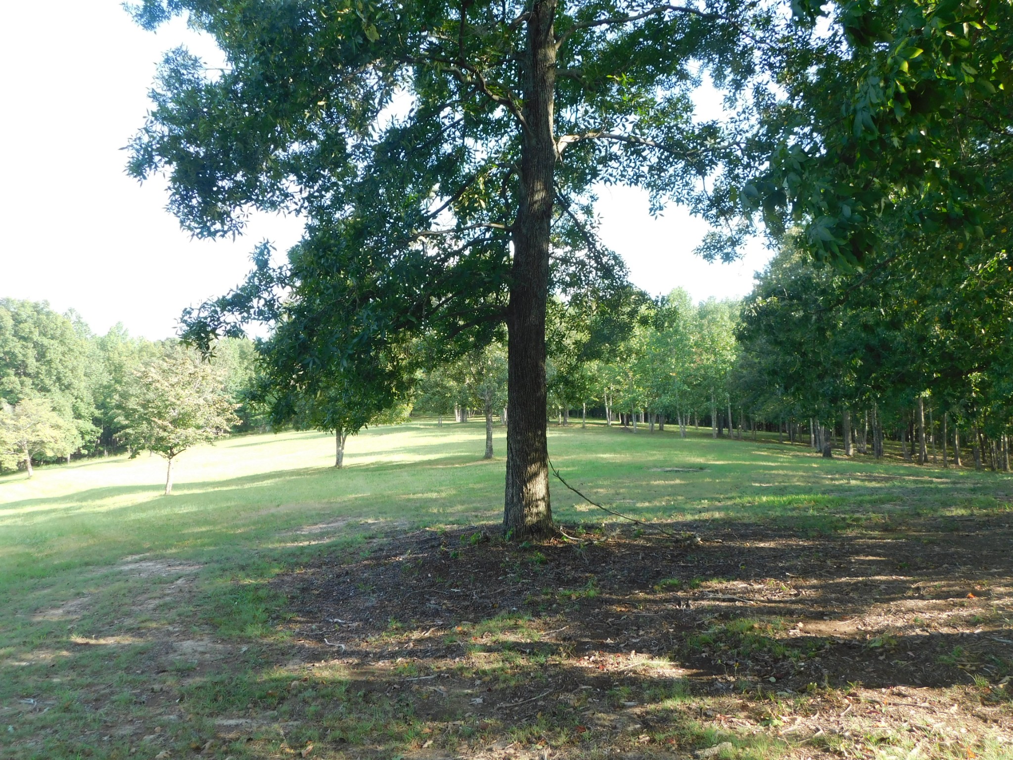 367 Keytown Road Portland, TN 37148 - Photo 26 of 59 Gallery Image 26