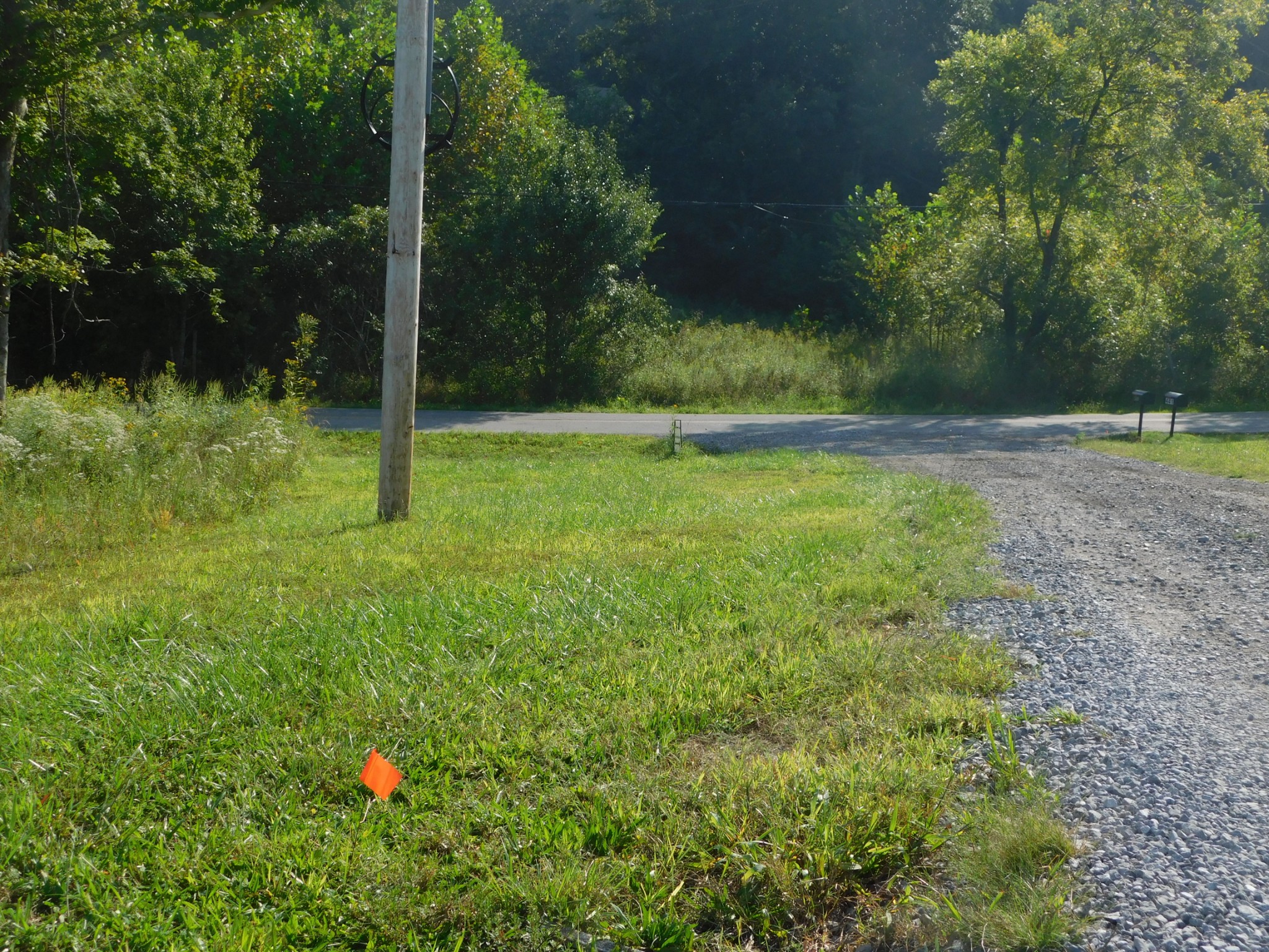 367 Keytown Road Portland, TN 37148 - Photo 4 of 59 Gallery Image 4