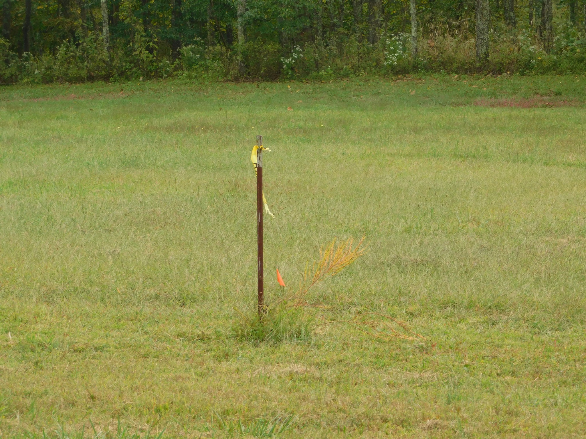 367 Keytown Road Portland, TN 37148 - Photo 41 of 59 Gallery Image 41
