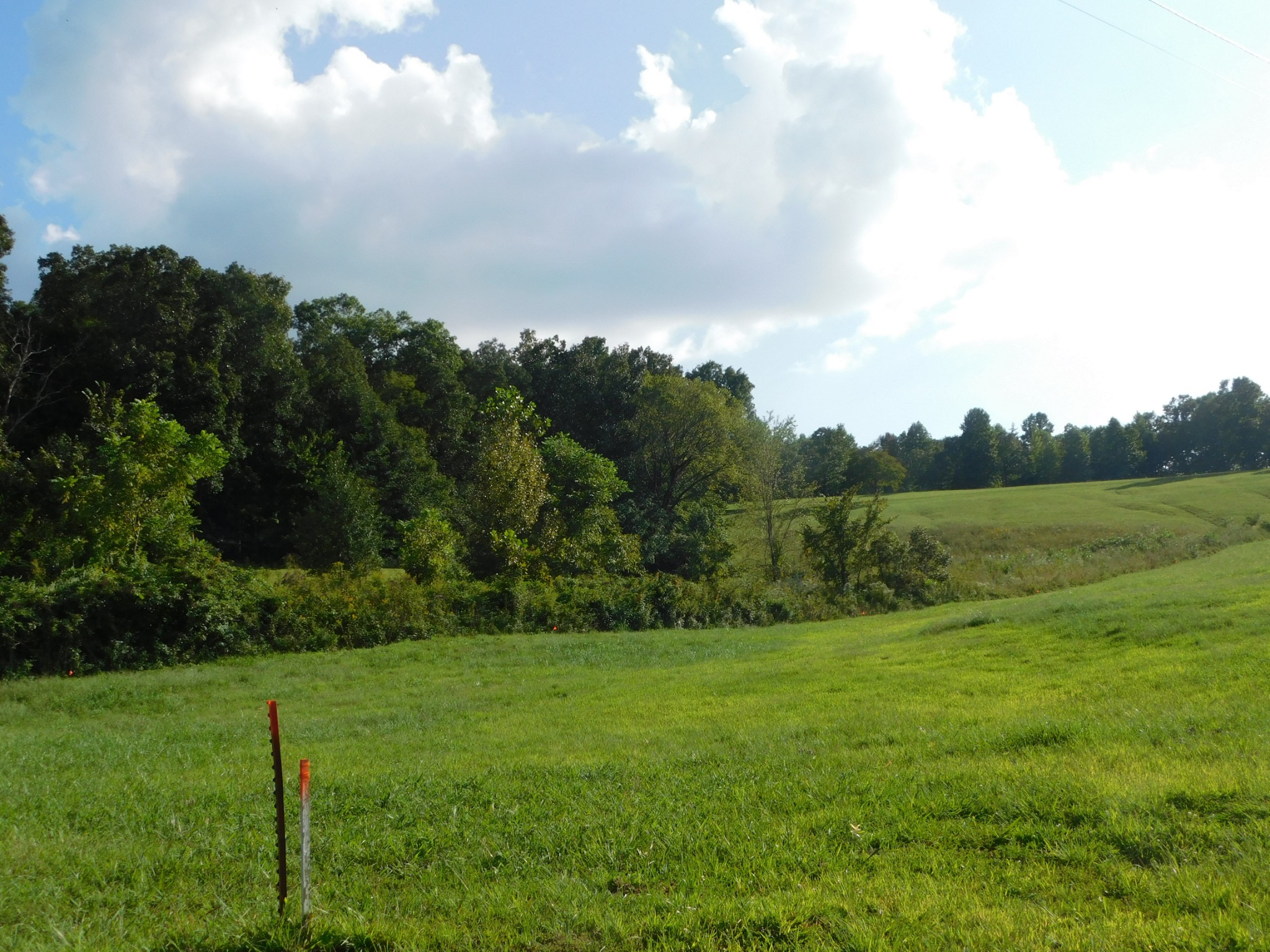 367 Keytown Road Portland, TN 37148 - Photo 42 of 59 Gallery Image 42