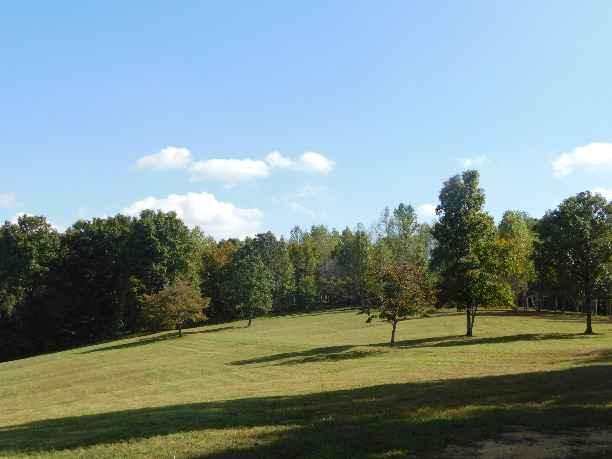 367 Keytown Road Portland, TN 37148 - Photo 50 of 59 Gallery Image 50