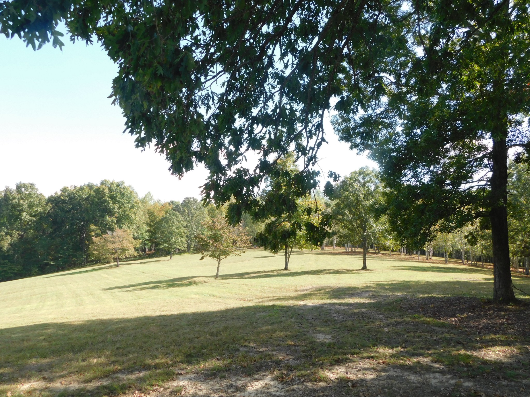 367 Keytown Road Portland, TN 37148 - Photo 51 of 59 Gallery Image 51