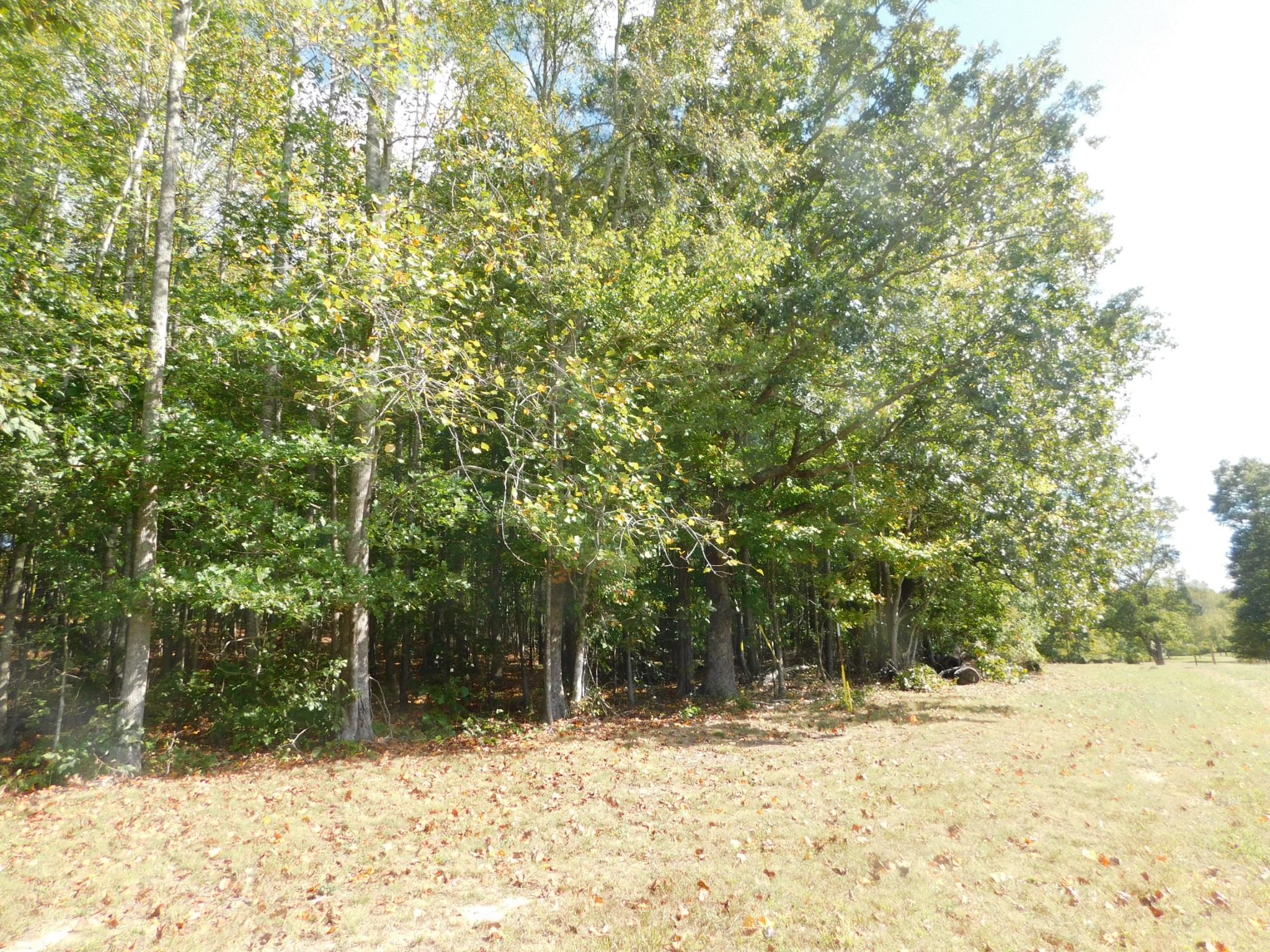 367 Keytown Road Portland, TN 37148 - Photo 53 of 59 Gallery Image 53