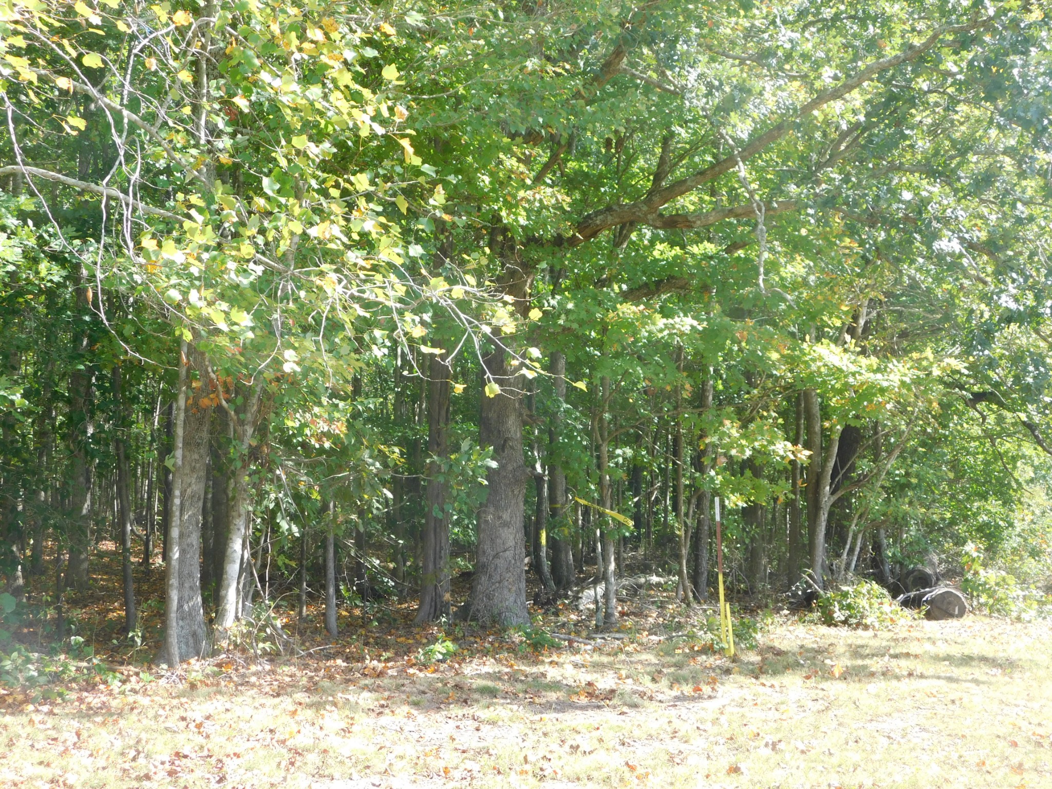 367 Keytown Road Portland, TN 37148 - Photo 54 of 59 Gallery Image 54