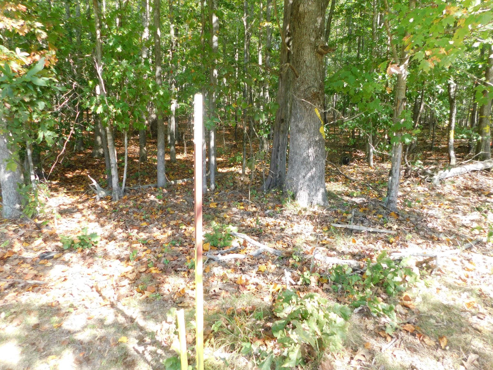 367 Keytown Road Portland, TN 37148 - Photo 56 of 59 Gallery Image 56