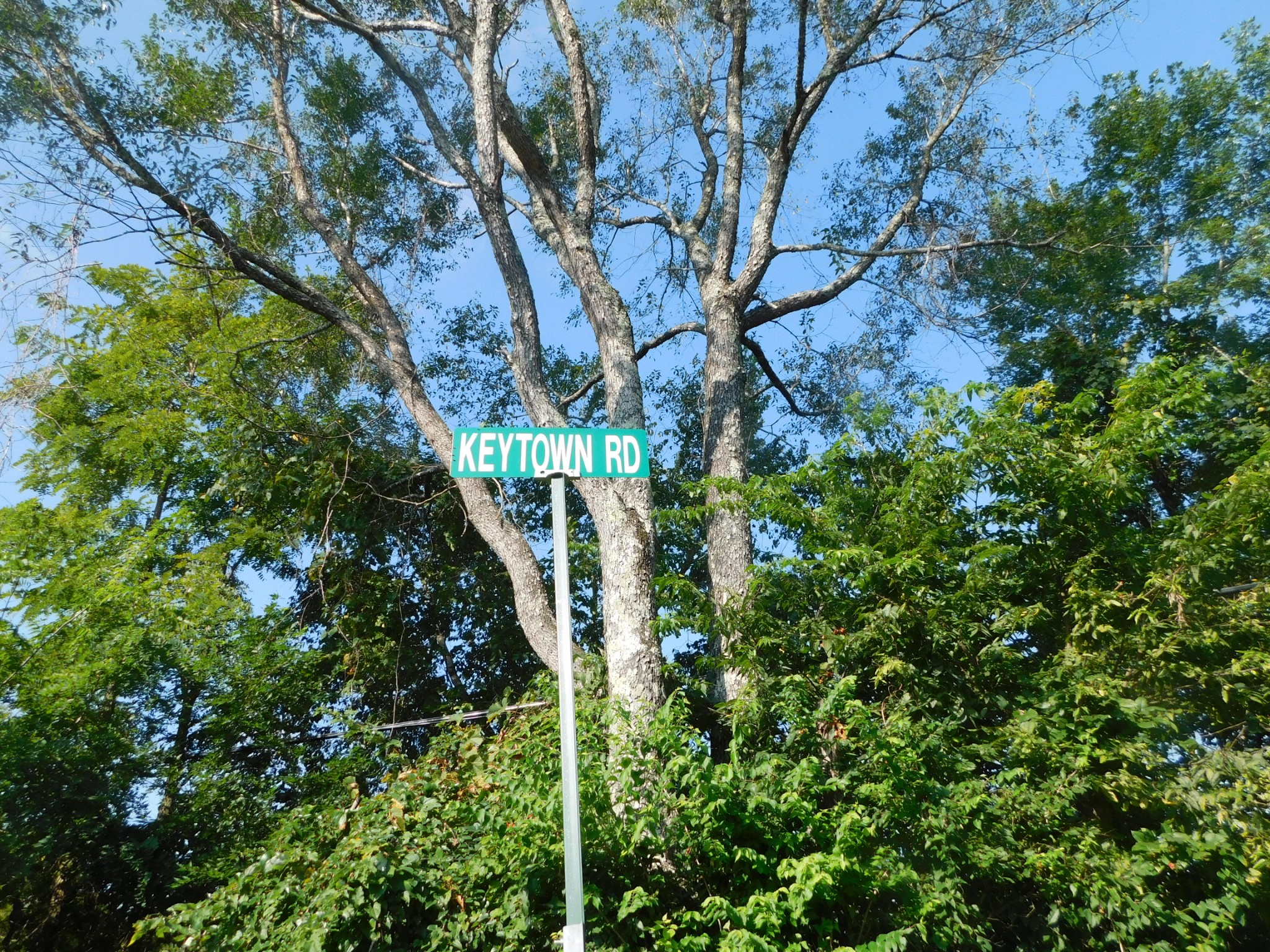 367 Keytown Road Portland, TN 37148 - Photo 58 of 59 Gallery Image 58