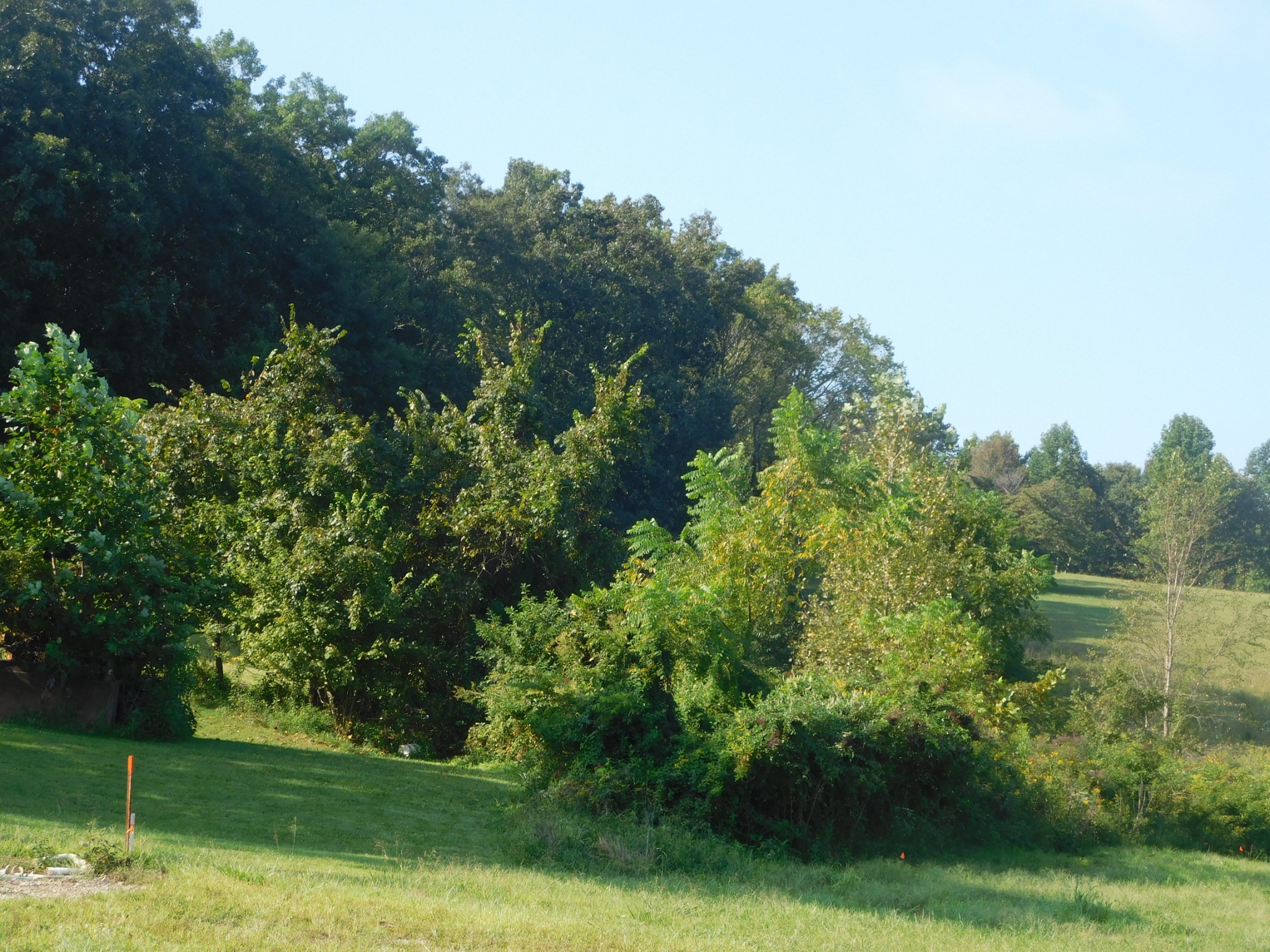367 Keytown Road Portland, TN 37148 - Photo 9 of 59 Gallery Image 9