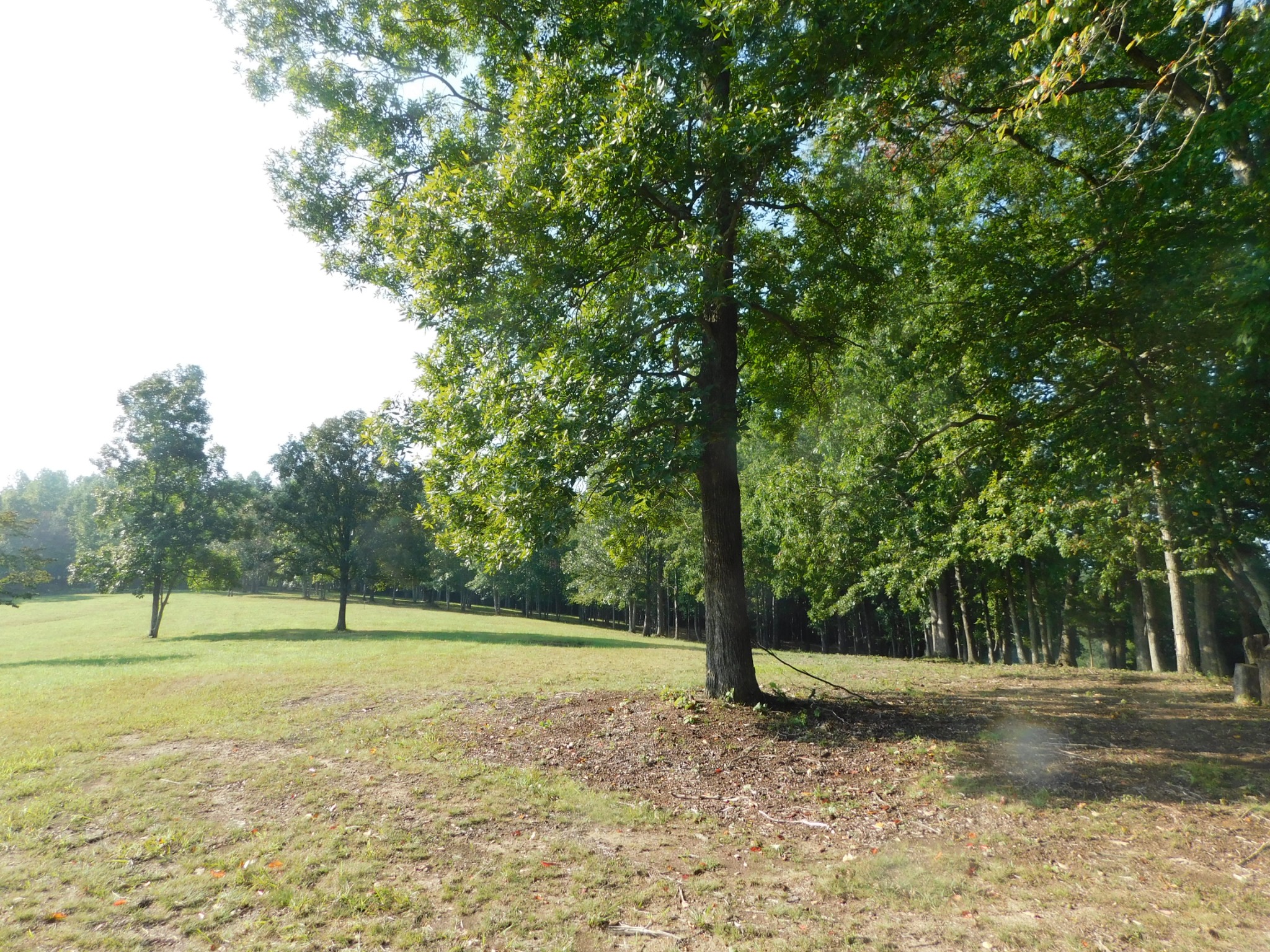 367 Keytown Road Portland, TN 37148 - Photo 10 of 59 Gallery Image 10