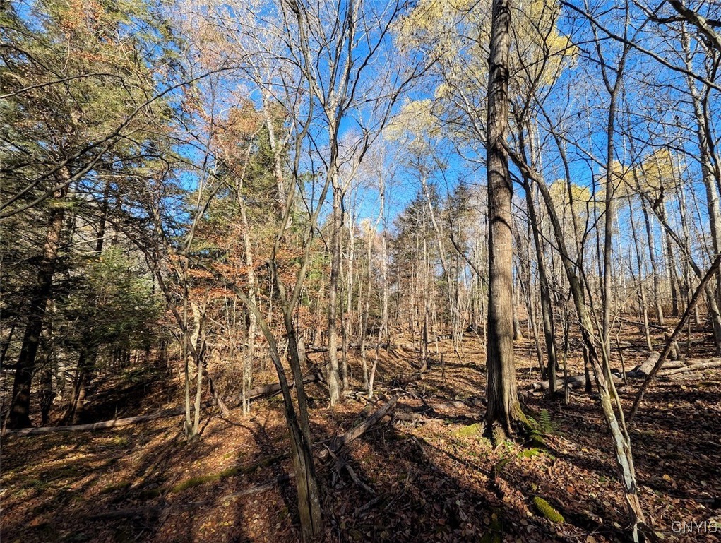 126 County Road Greenwood, NY 14839 - Photo 11 of 19