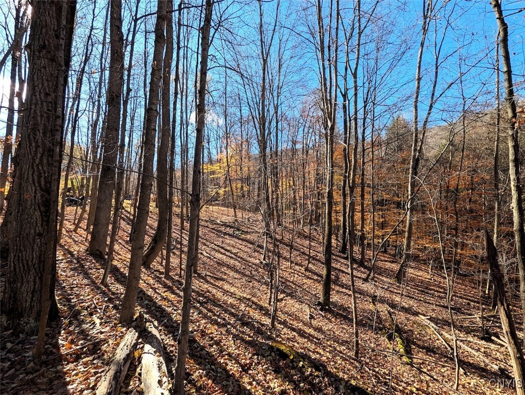 126 County Road Greenwood, NY 14839 - Photo 12 of 19