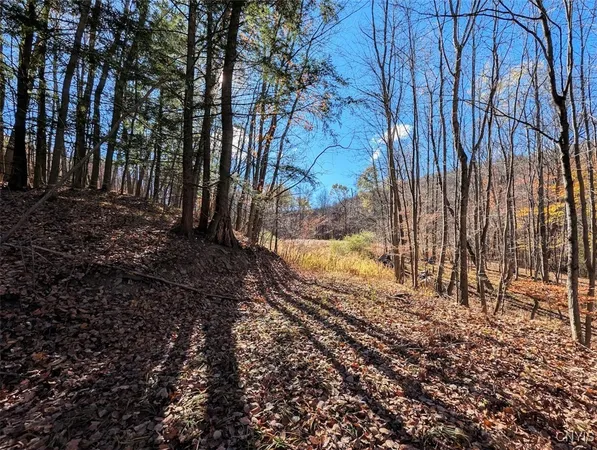 $25,500 | 126 County Road, Greenwood, NY 14839