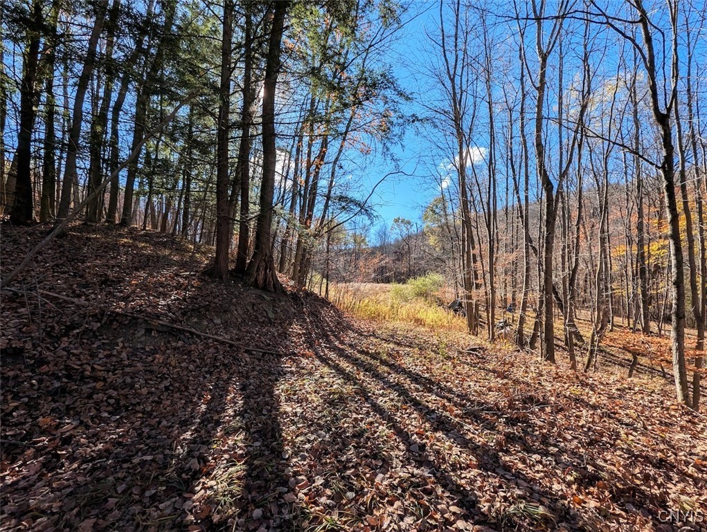 126 County Road Greenwood, NY 14839 - Photo 13 of 19