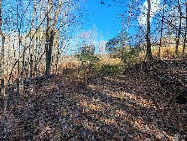 $25,500 | 126 County Road, Greenwood, NY 14839