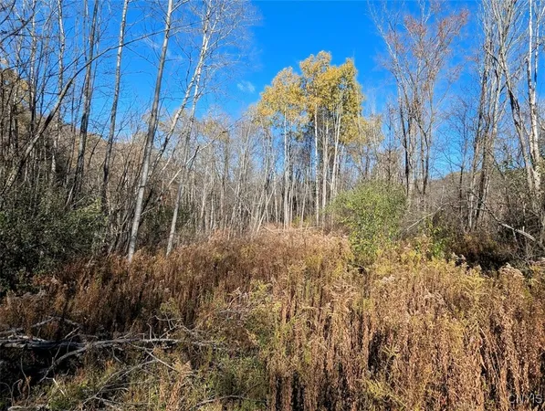 $25,500 | 126 County Road, Greenwood, NY 14839