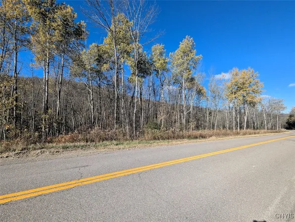 $25,500 | 126 County Road, Greenwood, NY 14839