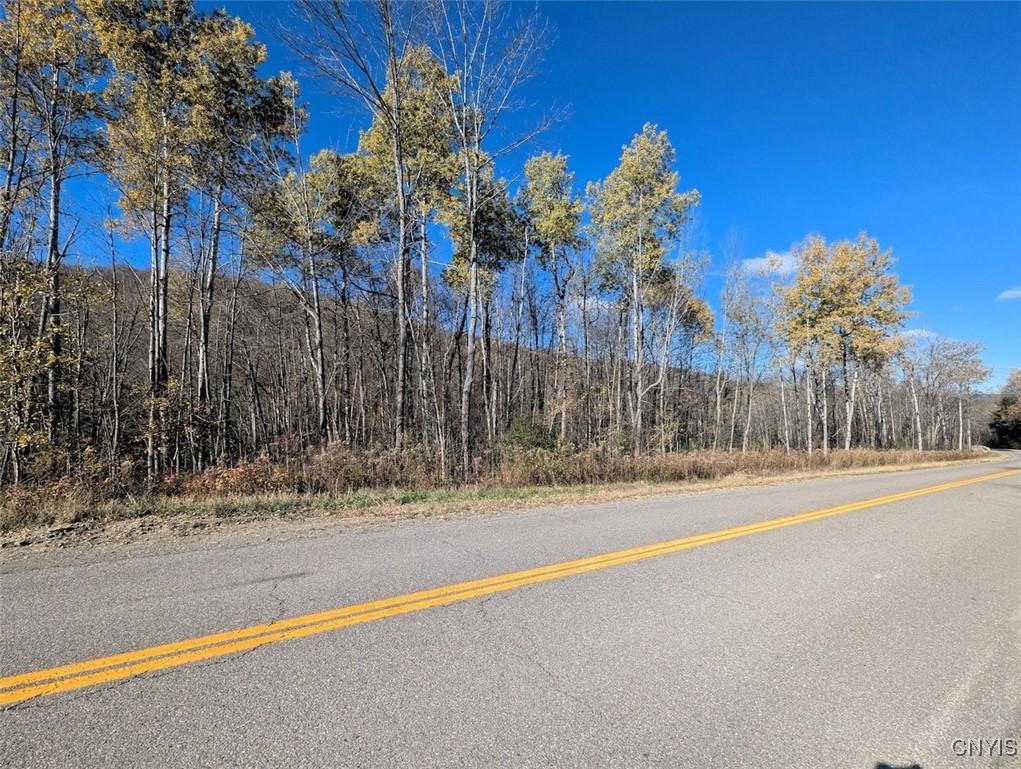 126 County Road Greenwood, NY 14839 - Photo 16 of 19