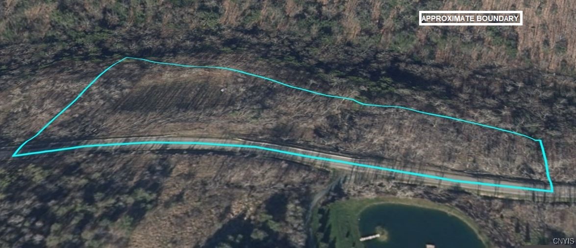 126 County Road Greenwood, NY 14839 - Photo 18 of 19