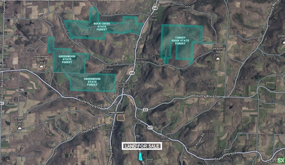 126 County Road Greenwood, NY 14839 - Photo 19 of 19