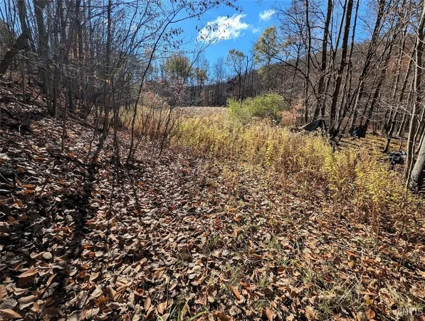 $25,500 | 126 County Road, Greenwood, NY 14839