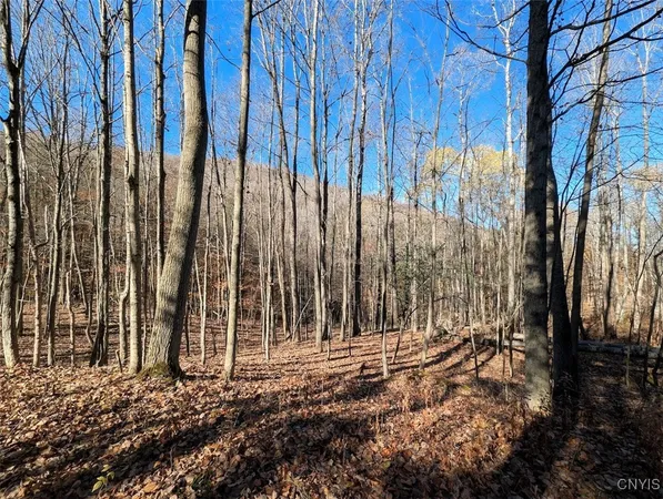 $25,500 | 126 County Road, Greenwood, NY 14839