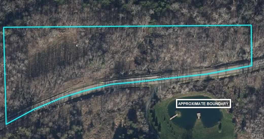 126 County Road Greenwood, NY 14839 - Photo 4 of 19