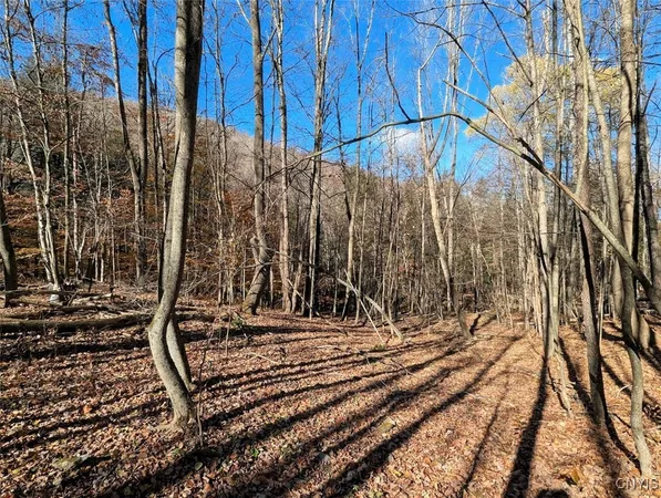 $25,500 | 126 County Road, Greenwood, NY 14839