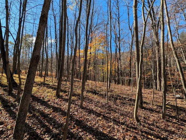 $25,500 | 126 County Road, Greenwood, NY 14839