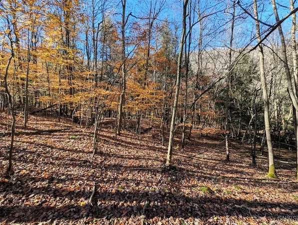 $25,500 | 126 County Road, Greenwood, NY 14839