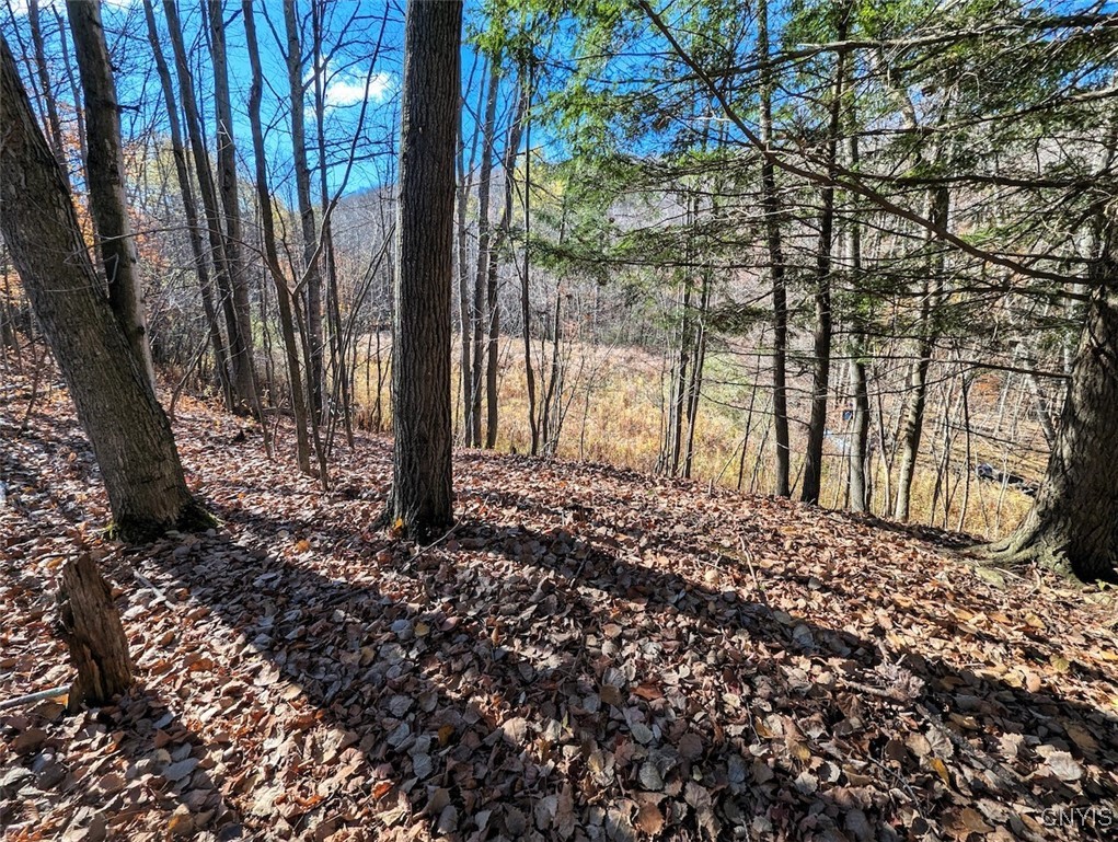 126 County Road Greenwood, NY 14839 - Photo 8 of 19