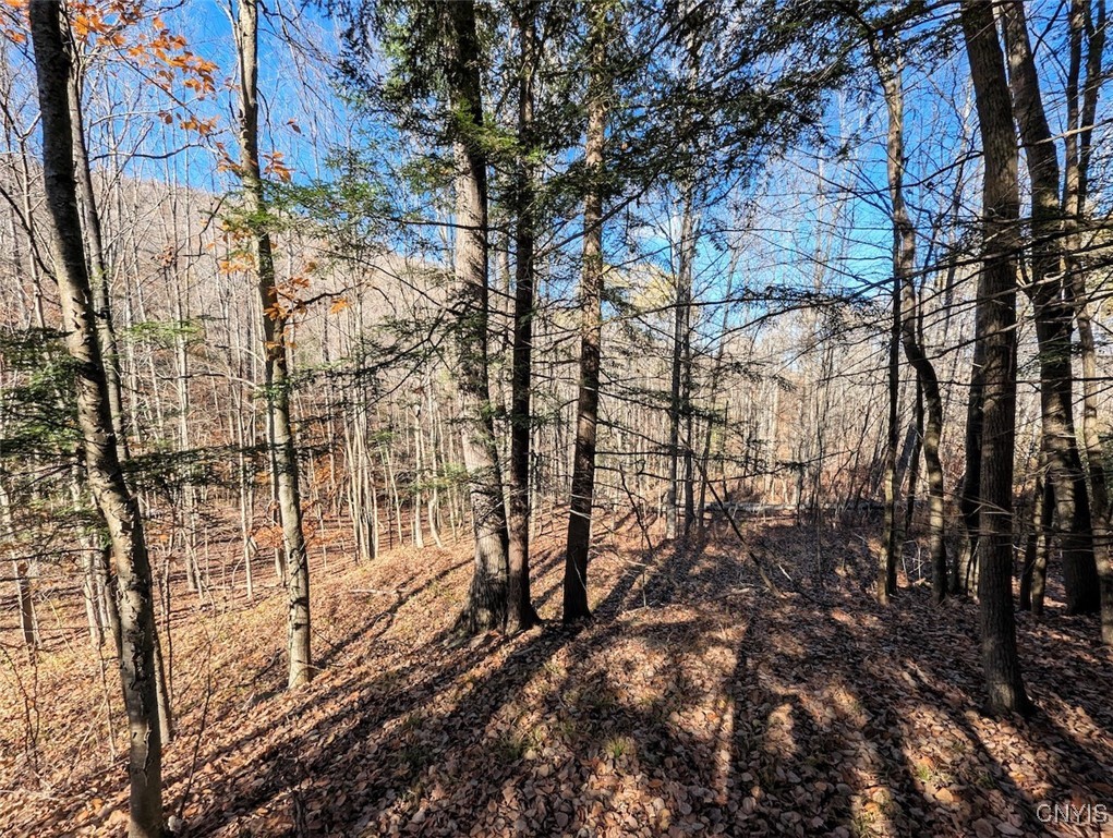 126 County Road Greenwood, NY 14839 - Photo 9 of 19