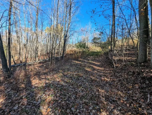 $25,500 | 126 County Road, Greenwood, NY 14839