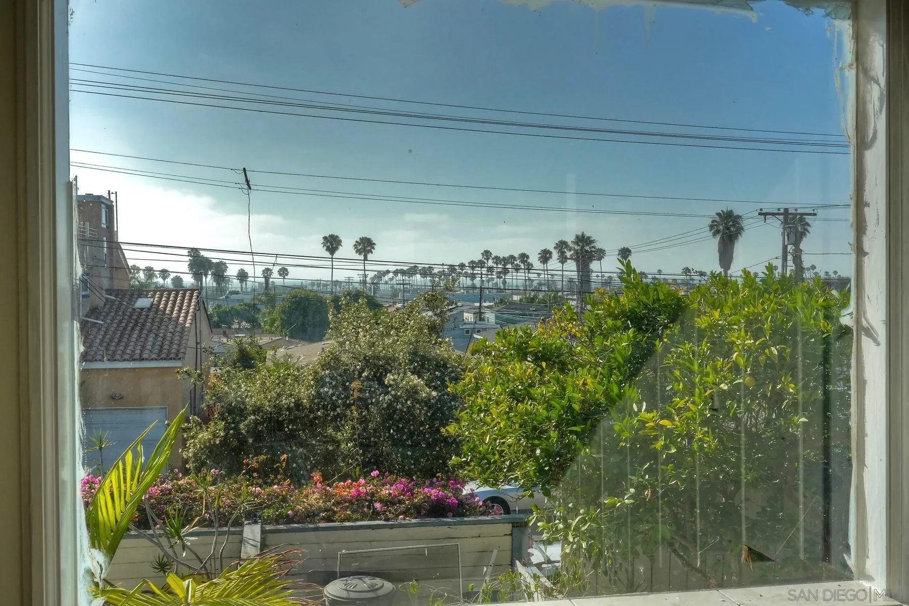 4692 Niagara Avenue San Diego, CA 92107 - Photo 27 of 62 a view of a yard with plants and a bench