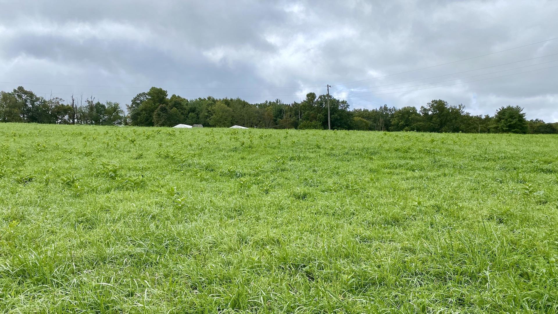 Tbd Tbd Worrell Memorial Road Laurel Fork, VA 24352 - Photo 22 of 22 Gallery Image 22