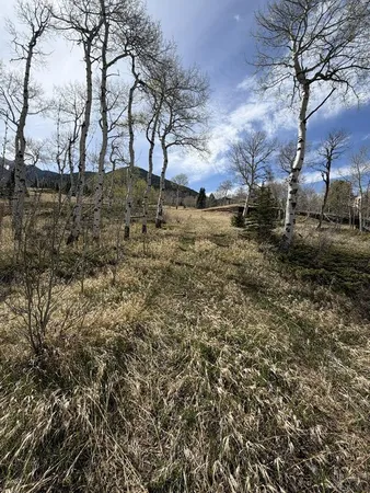 $95,000 | 36 Baker Creek Road, La Veta, CO 81055