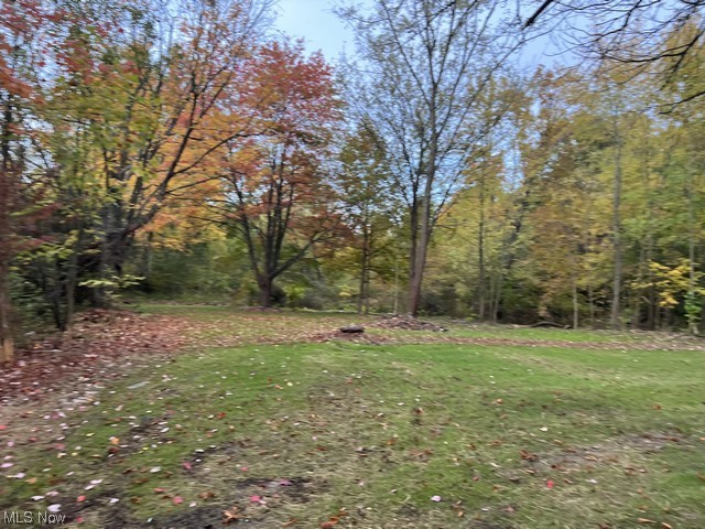 6742 Warren - Sharon Road Brookfield, OH 44403 - Photo 5 of 16 View of yard