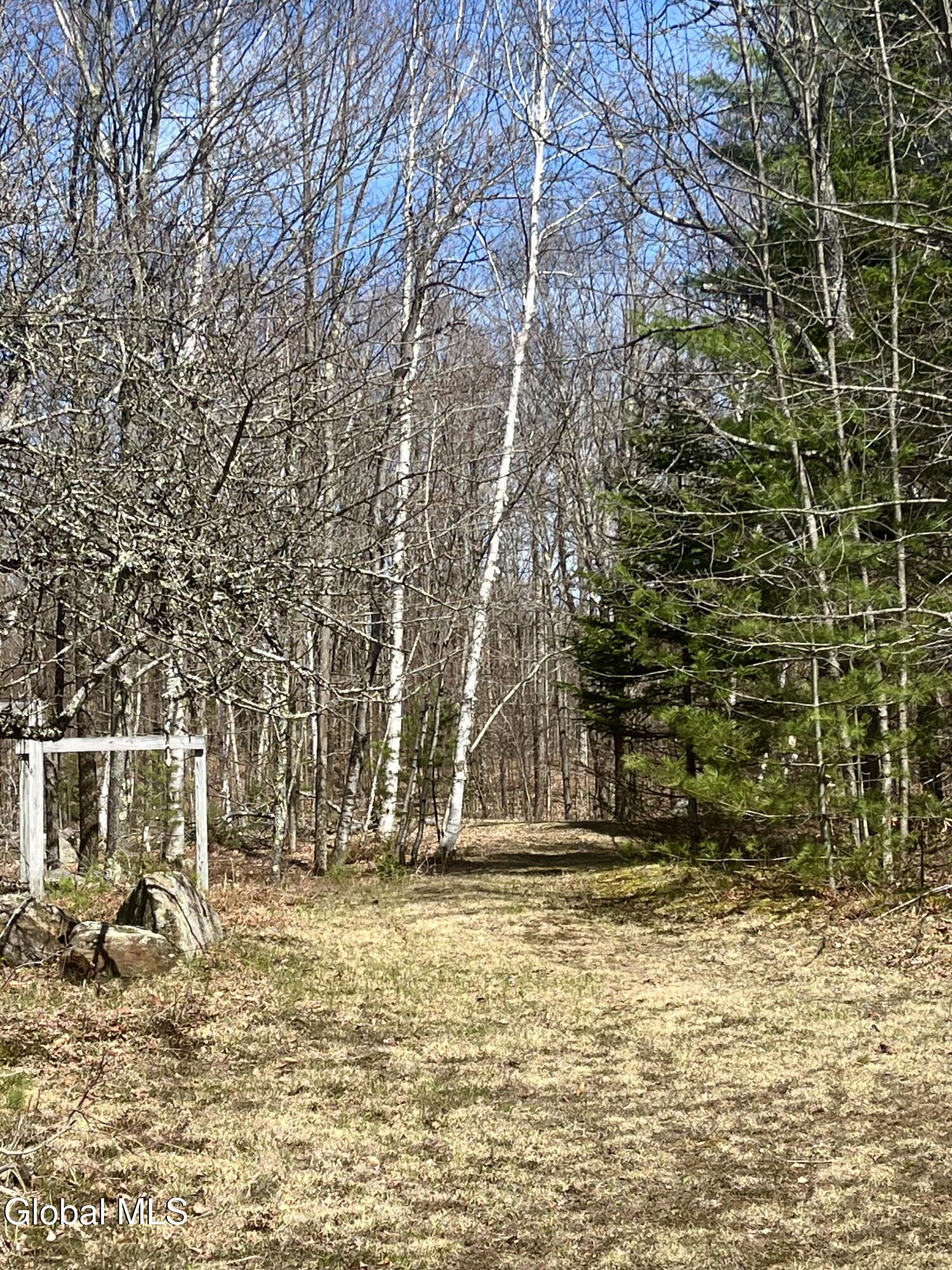 175 Henry Wescott Road Thurman, NY 12885 - Photo 47 of 78 Copy of IMG_0996_Converted_2026060413523