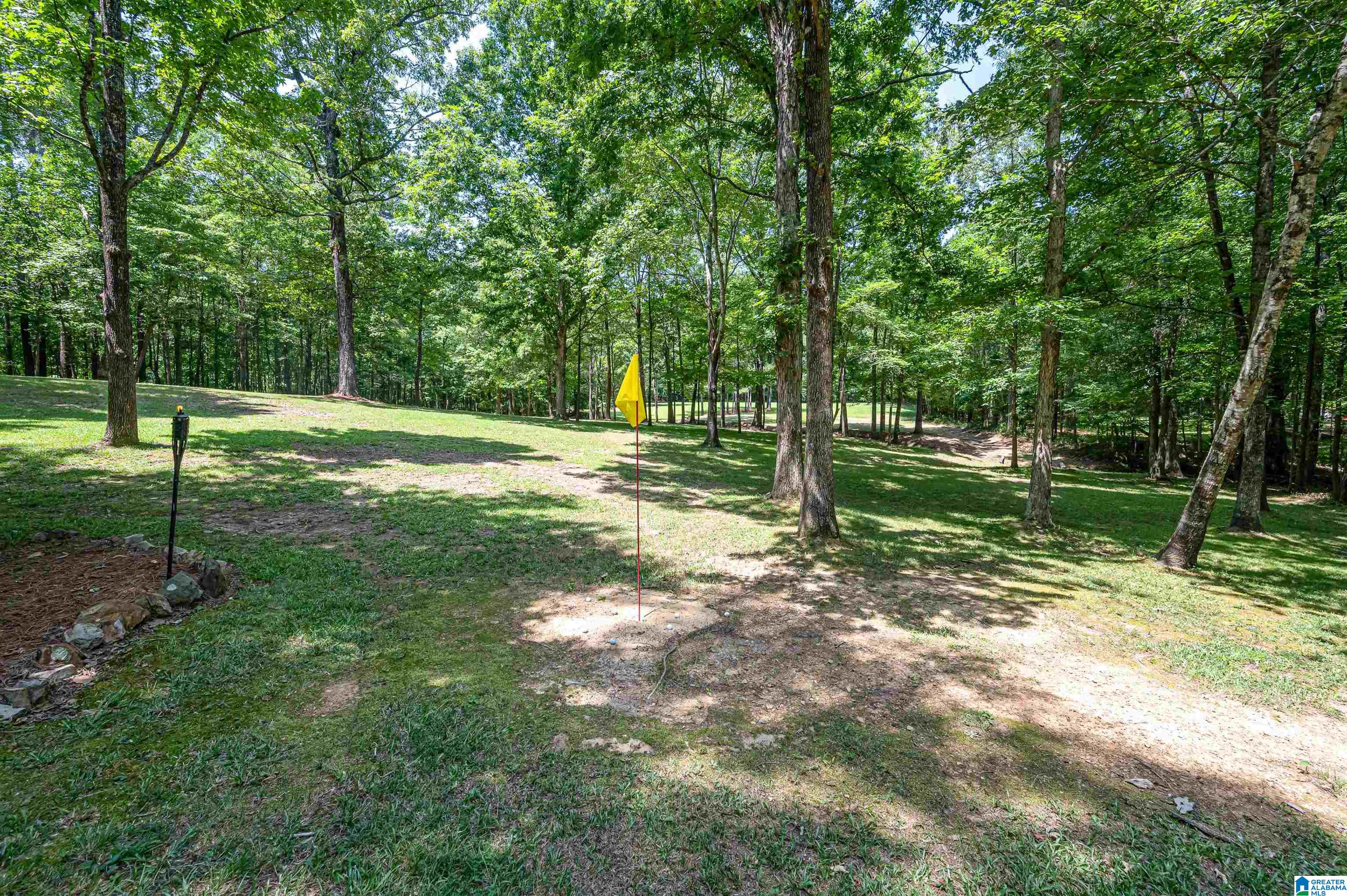 290 Baron Drive Chelsea, AL 35043 - Photo 47 of 59