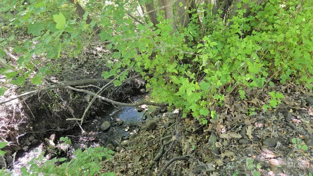 $379,000 | 112 Tum A Lum, Pomeroy, WA 99347